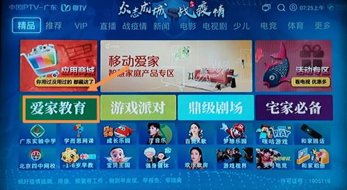 電視課堂，實時廣播 佛山中小學全面線上教學指南